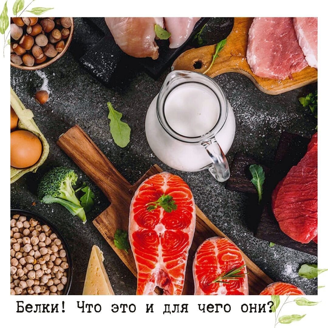 Для чего белки и что это 