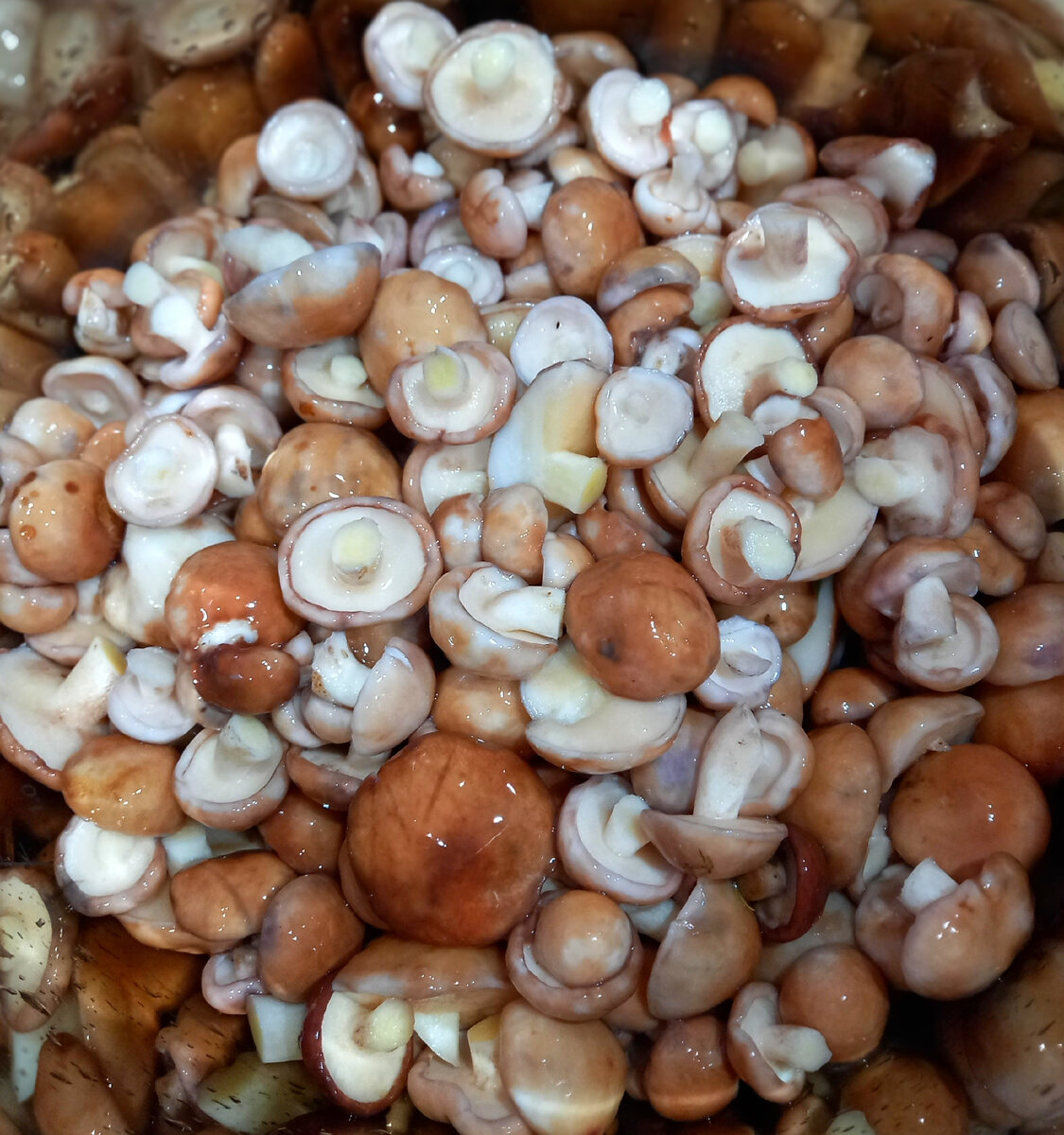 Любо_дорого взглянуть👍🙂