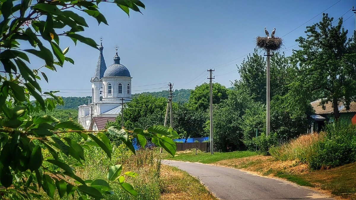 Село Быки в Курской области.