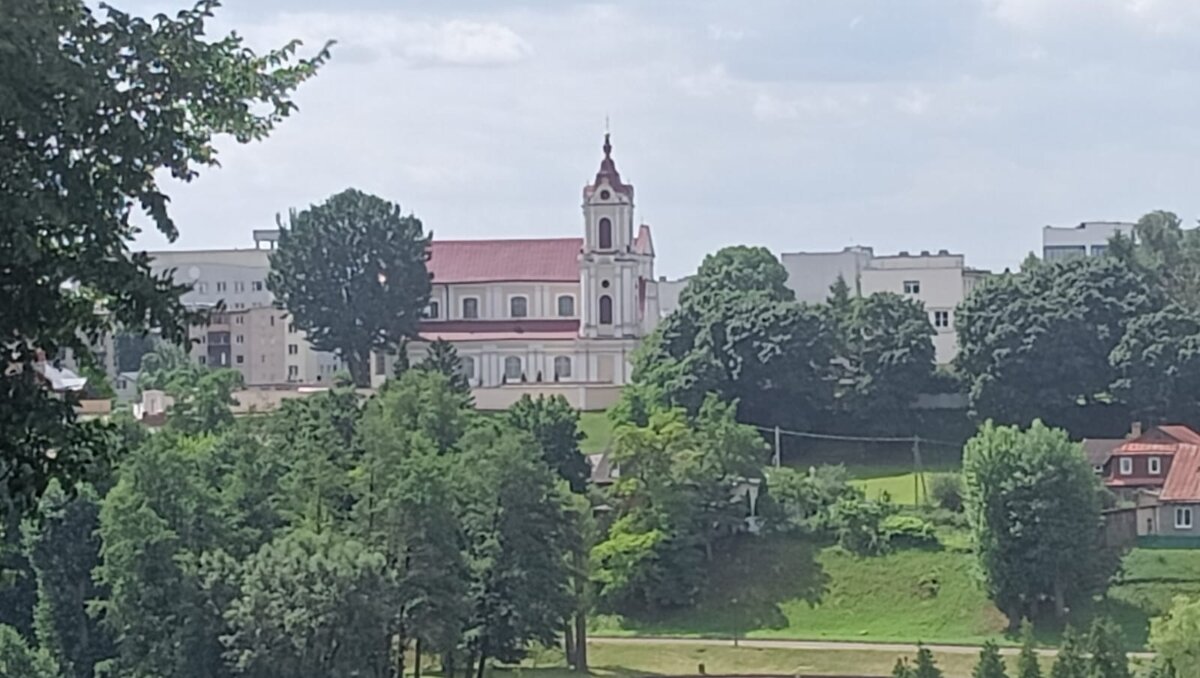 Вид за Неман