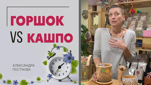 Горшок или кашпо - что выбрать Разница, недостатки и плюсы каждого из них. Сравн