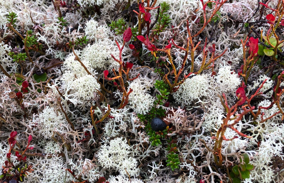 © RIA Novosti. Алексей Филиппов