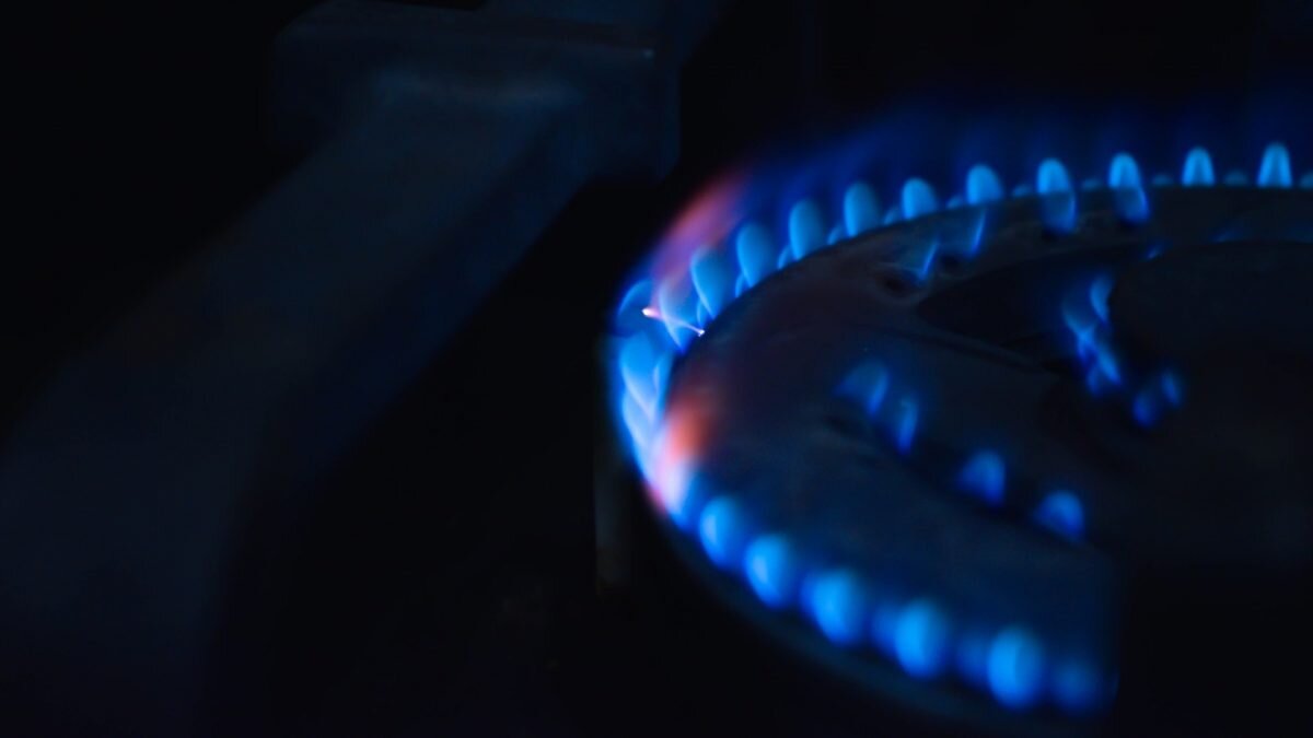    Фото: Unsplash Август Макаров