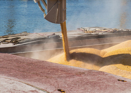    Турция хочет возобновить зерновую сделку