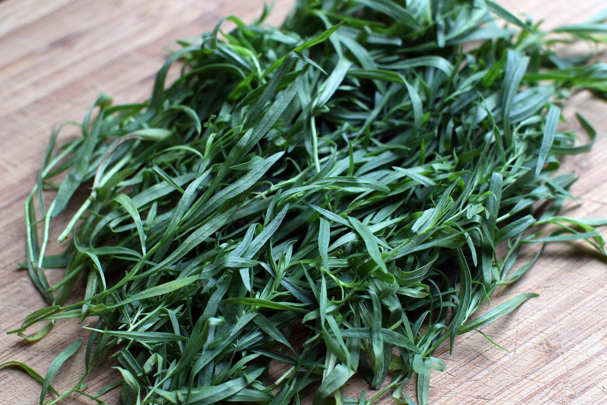 Тархун: уникальные свойства и использование в кулинарии