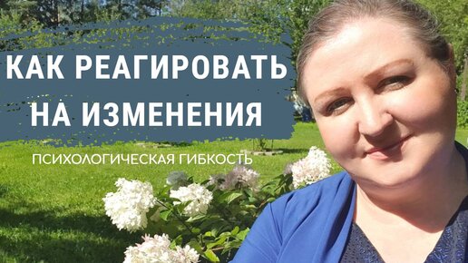 Descargar video: Мастерство гибкости. Как развить способность адаптироваться к изменениям