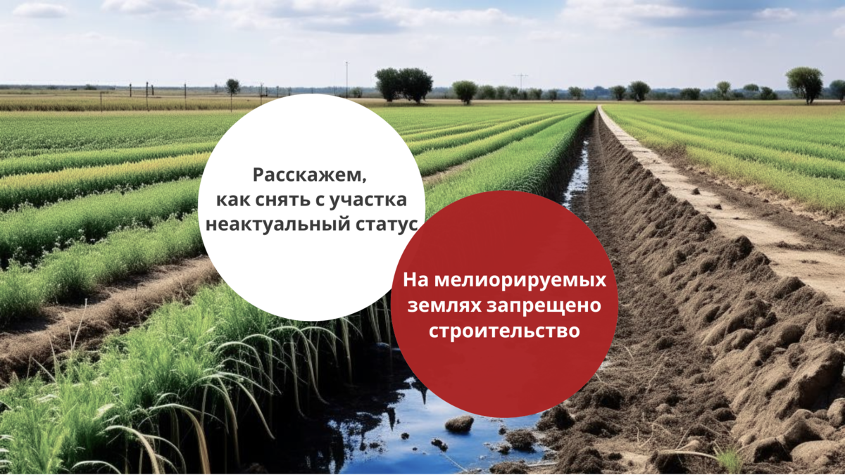 Как снять с участка статус мелиорируемой земли и начать строительство? |  Два М Москва. Земля и недвижимость | Дзен