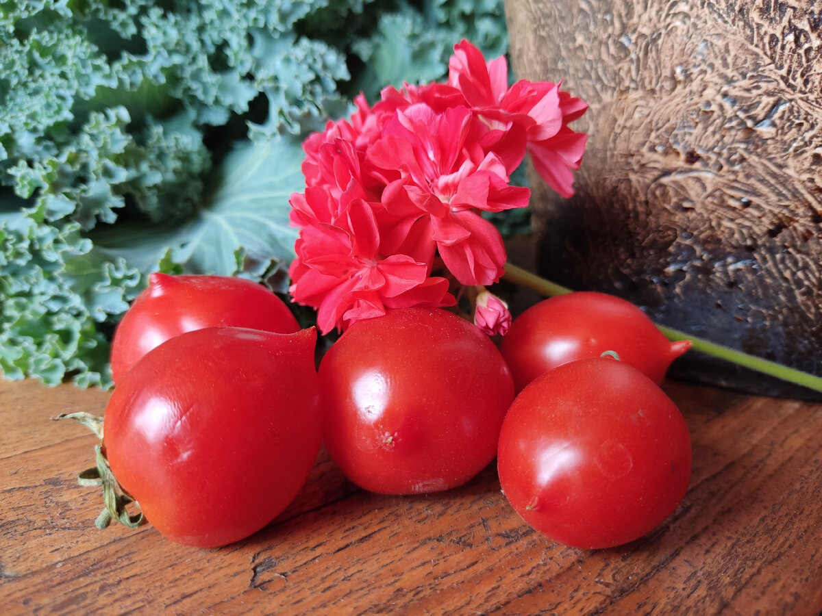 Томаты, сорт Geranium Kiss