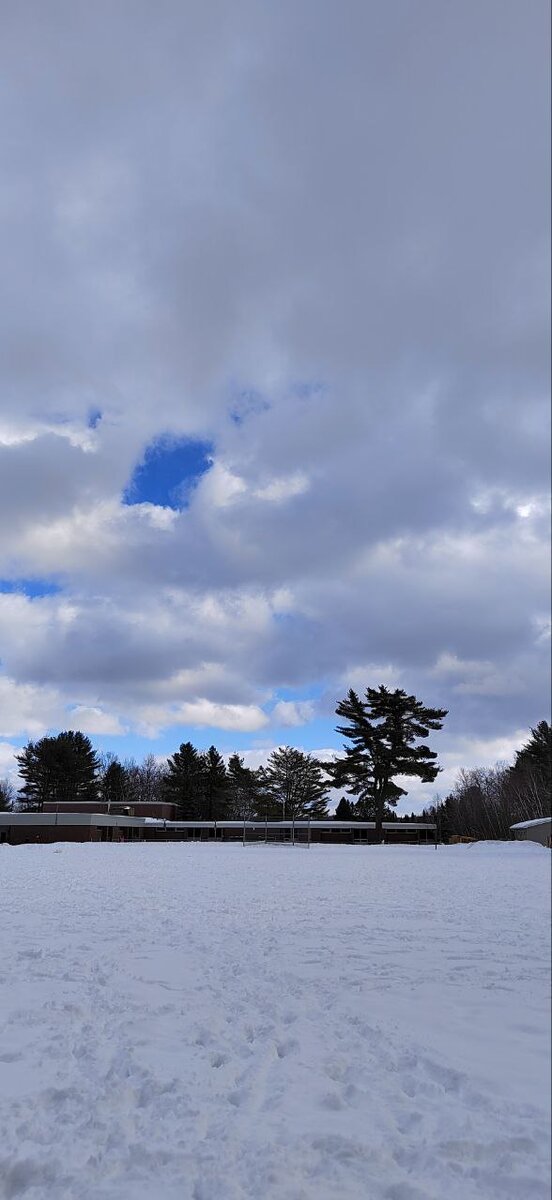 территория начальной школы, куда ходит ребенок. 