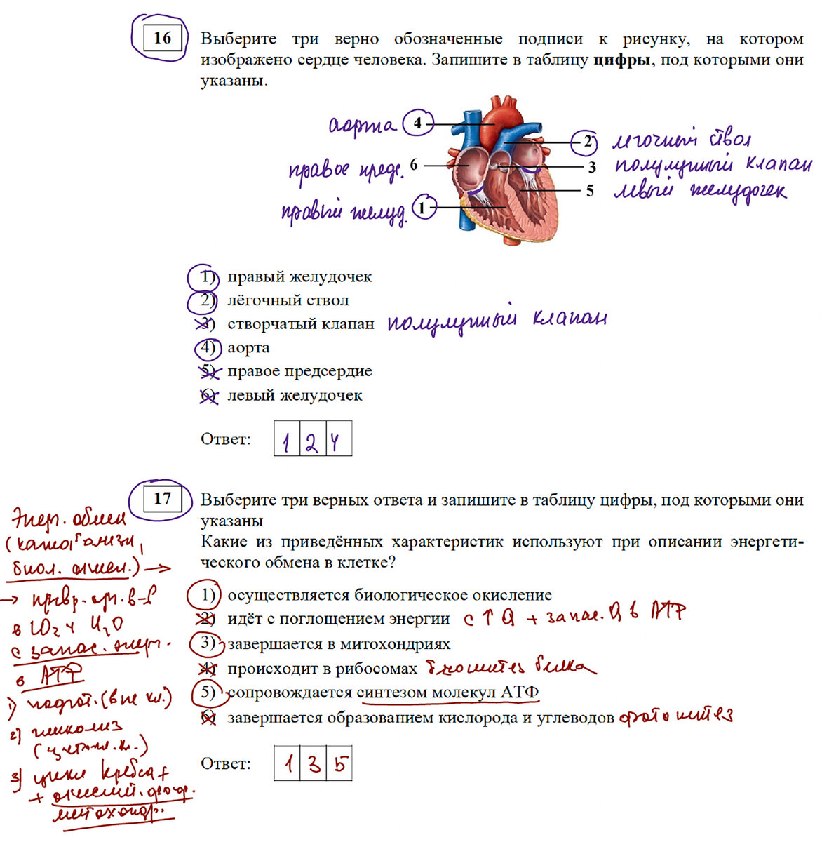 Что изменится в ОГЭ в 2024 году