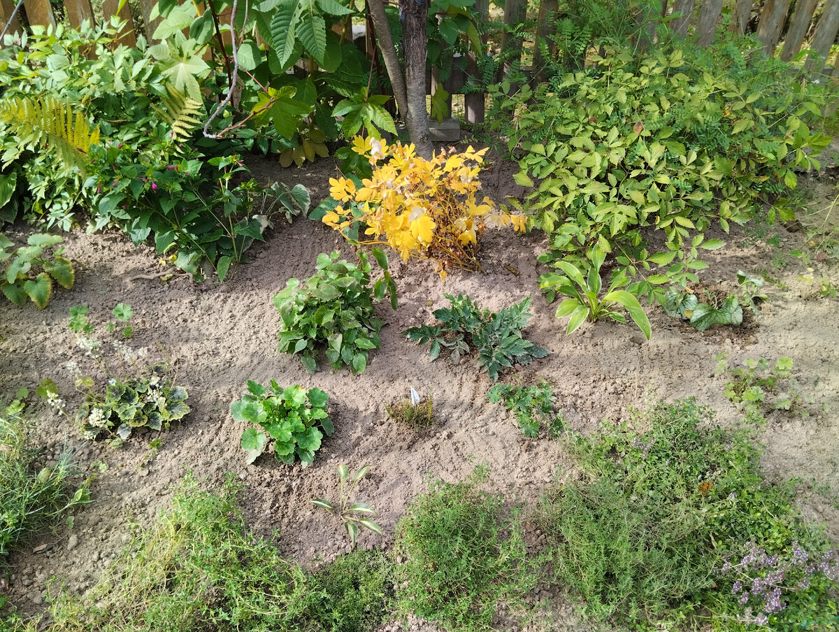 Эту часть цветника переделывала все воскресное утро