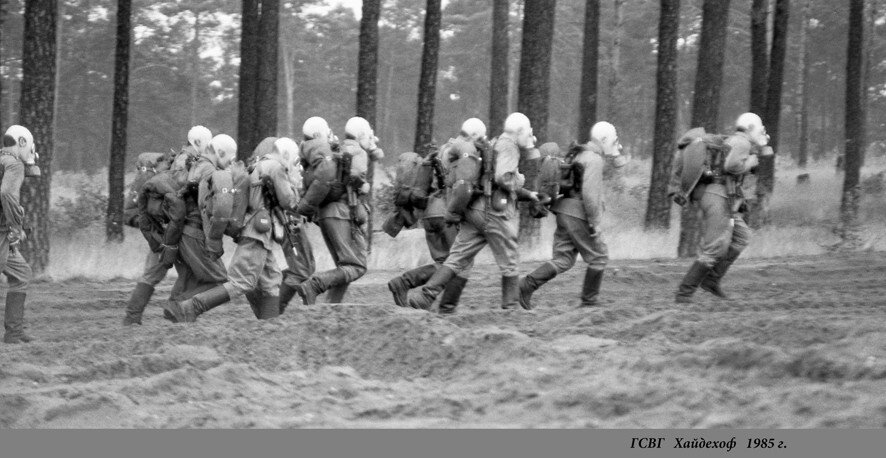 фото Владимира Шарникова...