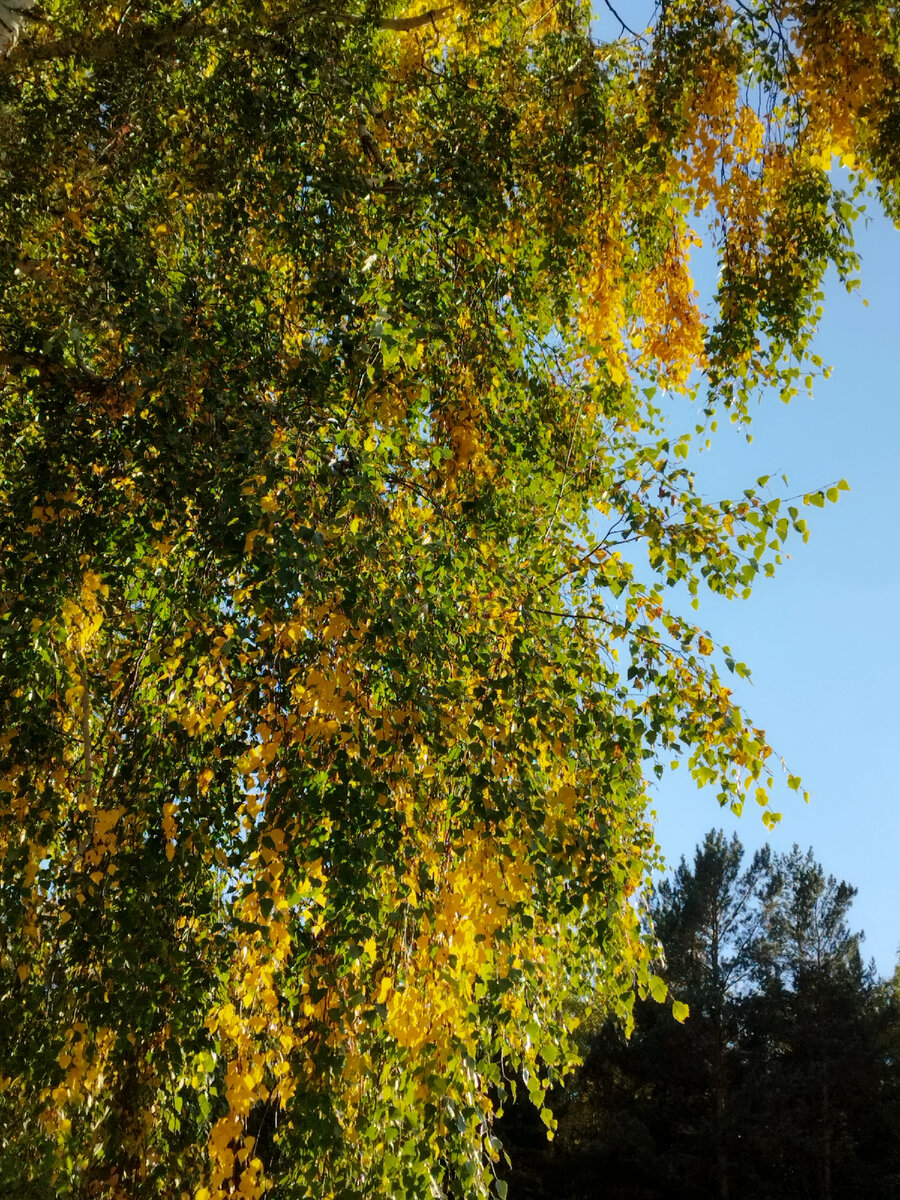 Фото из личного архива автора