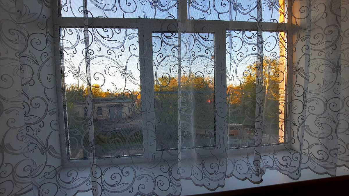 Сегодня утром сфоткала