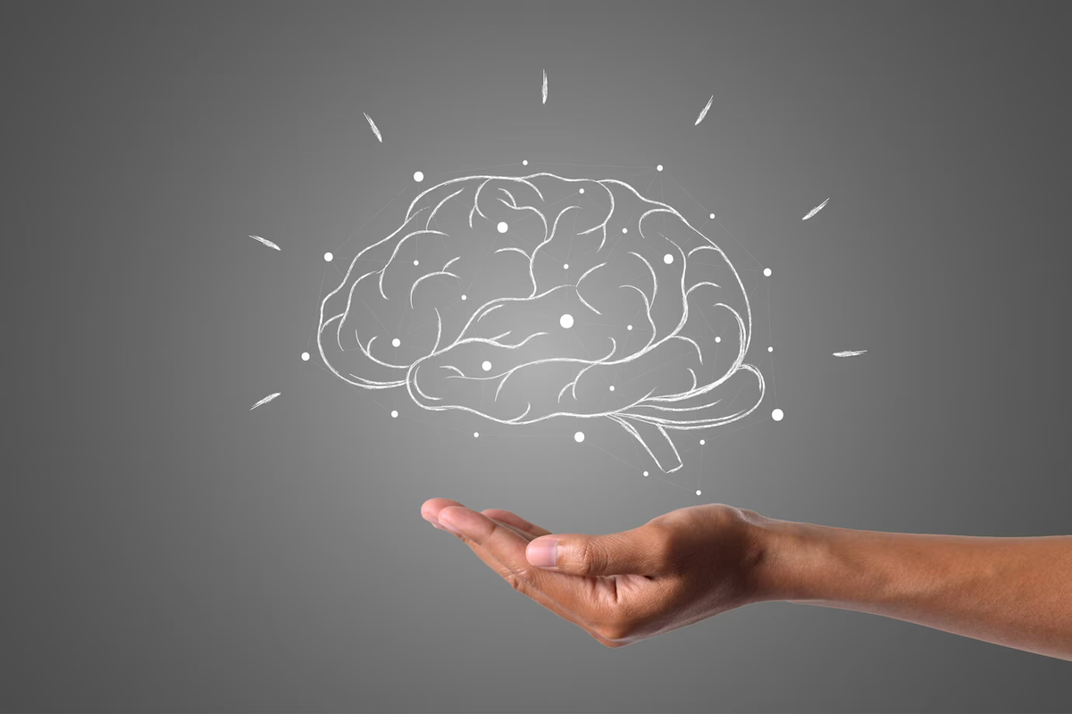 https://img.freepik.com/free-photo/brain-writes-with-white-chalk-is-on-hand-draw-concept_1150-19556.jpg?w=1380&t=st=1695295243~exp=1695295843~hmac=b5ef749d74481632afa3f5e8398b0af3bda7320404183889f3687811df340141