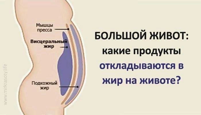 ✅Большой живот: какие продукты провоцируют образование жира вокруг талии?

📌Иметь стройную фигуру и тонкую талию хочется каждой женщине. 
Вот только порой представительницы прекрасного пола и правильно питаются, и диеты соблюдают, и режима дня придерживаются, а ненавистный жир с живота так никуда и не уходит. А что, если попытаться справиться с данной неприятностью путем исключения некоторых продуктов из рациона?

⛔Мучные и кондитерские изделия 
Это самые главные враги плоского животика! 
Все продукты, содержащие большое количество муки, неизбежно влекут за собой образование противного «жирка»! К таковым принято относить как хлеб и любые хлебобулочные изделия, так и сдобные плюшки или булочки, а также аппетитные пирожки с тортиками. 

⛔Сладкая выпечка буквально изобилует быстро расщепляющимися простыми углеводами – в результате их попадания в организм чувство насыщения быстро покидает человека, и он снова и снова тянется за очередным пирожным. 
А продукты расщепления простых углеводов неизменно откладываются на его талии в виде жира. 
Особенно активно образованию жира на животе способствуют сдобная выпечка, мороженое, сладкое печенье, щедро сдобренные масляным кремом пирожные и тортики, а также шоколад и самые разнообразные джемы или варенья. 

⛔Сахар

Ради обретения плоского живота не помешает отказаться и от сахара, а также от тех продуктов, в которых он содержится в весьма солидных количествах. Кстати, к таковым относятся и магазинные пакетированные соки. 

Если совсем отказаться от сладкого никак не получается, можно попытаться заменить сахар медом – употребляемый в разумных количествах, этот натуральный продукт будет совершенно безвреден для фигуры. 

⛔Соль 
Количество соли в организме тоже не должно быть слишком большим – соль наделена способностью задерживать воду, что в свою очередь может спровоцировать появление неприглядных отеков. 

⛔Картофель 
Его допускается употреблять лишь в отварном виде, при этом в идеале клубни должны быть от свежесобранного урожая. Что касается любимой многими жареной картошечки, то она не только никоим образом не поспособствует похудению (более того, талия под воздействием картофельного крахмала будет только увеличиваться), но и не принесет совершенно никакой пользы организму.

⛔Белый шлифованный рис и манная крупа 
Крахмал, входящий в состав такого риса, далеко не самым лучшим образом сказывается на фигуре. 
Конечно, полностью исключать из рациона белый рис не стоит, но и чаще двух раз в неделю его тоже лучше не употреблять. Зато коричневый рис можно есть столько, сколько захочется. 

Что касается манной крупы, то ее тоже нужно внести в список запрещенных продуктов, иначе жир с живота не только не будет уходить, но и начнет прибывать. 

⛔Виноград и бананы 
Как это ни парадоксально, но данные фрукты тоже могут спровоцировать увеличение жировых отложений на животе, так что не стоит чрезмерно ими увлекаться. 

⛔Каши быстрого приготовления и мюсли 
От этих продуктов тоже лучше отказаться, так как они богаты простыми углеводами, к тому же после их употребления чувство голода довольно быстро возвращается.

⛔Мясные бульоны и жирное мясо 
Налегать на наваристые мясные бульоны – далеко не самая лучшая идея, ведь в них содержится много холестерина. Да и жирному мясу в рационе всех желающих обрести плоский животик тоже не место. 

⛔Майонез, колбасы, копчености и консервы 
Активно препятствуют избавлению от жира на животе и майонез, а также всевозможные колбасы, копченая рыба, шпроты и самые разнообразные рыбные консервы. Данные продукты содержат поистине невероятное количество жиров и не приносят пользы организму. 

⛔Фаст-фуд 
Помимо того, что фаст-фуд очень калориен, он еще способен тормозить происходящие в организме обменные процессы, ведь в нем содержится великое множество самых разнообразных искусственных добавок. А там, где замедлен обмен веществ, пища усваивается крайне неважно, в результате чего не приходится вести речь и о похудении.