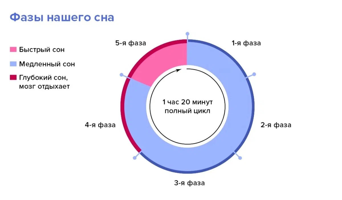 Сколько длиться этап. Длительность фаз сна. Структура сна фазы медленного и быстрого сна. Фазы сна человека таблица. Цикл сна схема.