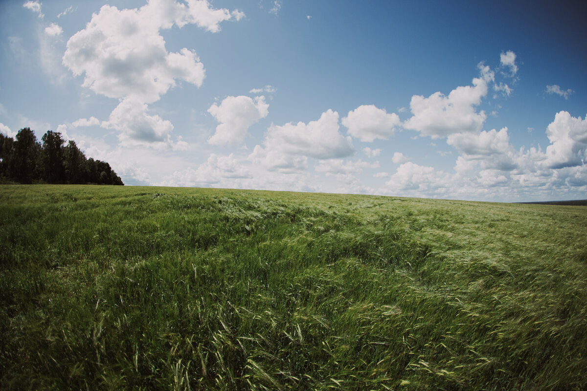 Фотография 2