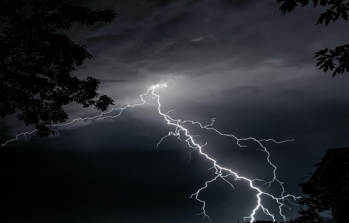 Фото из открытых источников