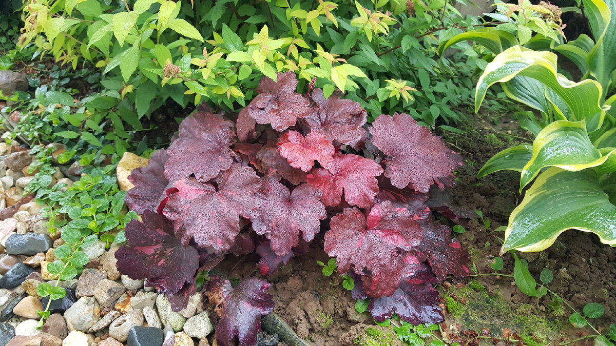 Восприятие цвета зависит от освещения