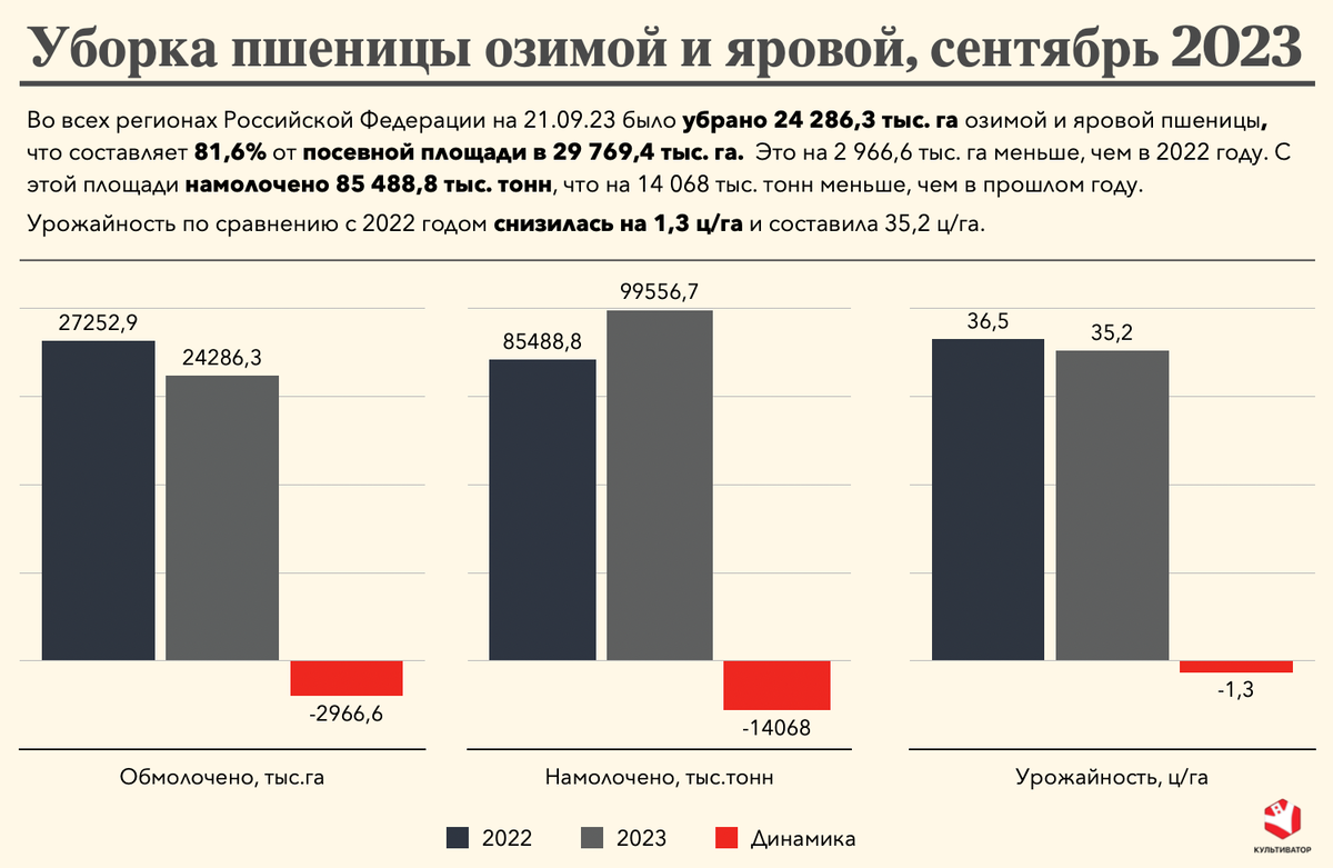 Уборка озимой и яровой пшеницы 2023 
