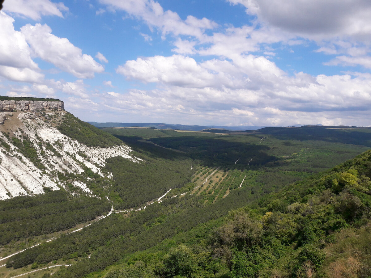 Фото мое личное.