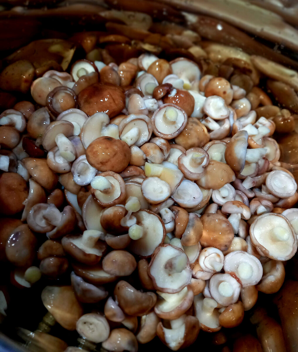 Такая будет вкуснота...👍