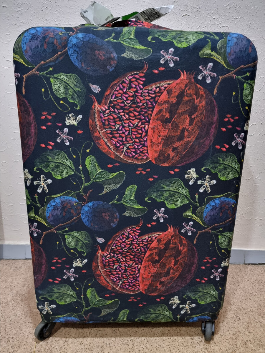 Наш потеряшка