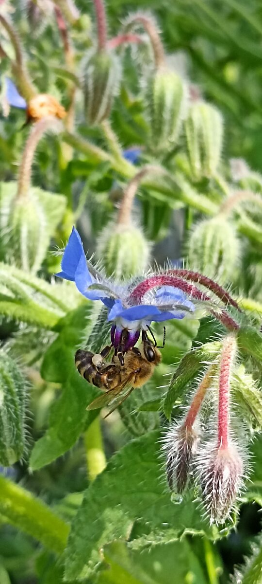 красота бывает