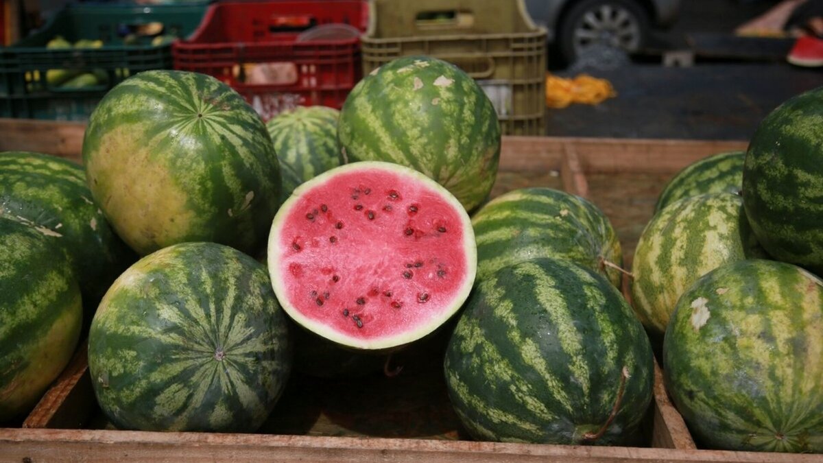   Joa Souza/Shutterstock.com