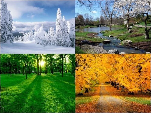 В какое время лучше ловить леща