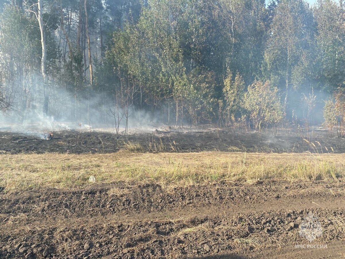 ГУ МЧС по Ульяновской области