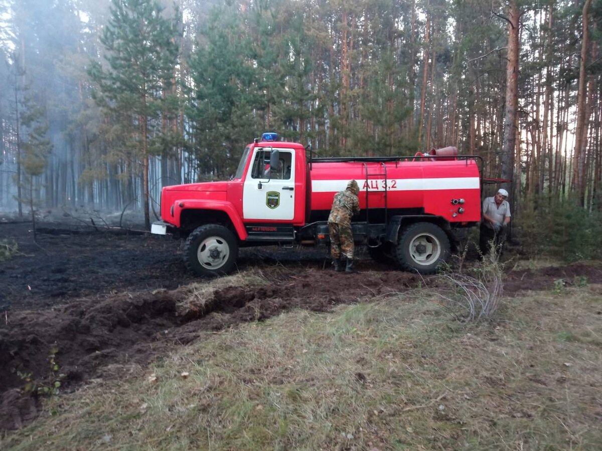 Сторож пожарный. Пожарный сторож. Пожар на Бору. Пожар в Оренбургской области зимой.