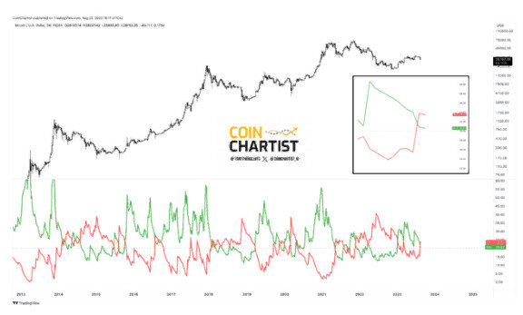 график CoinChartist VIP