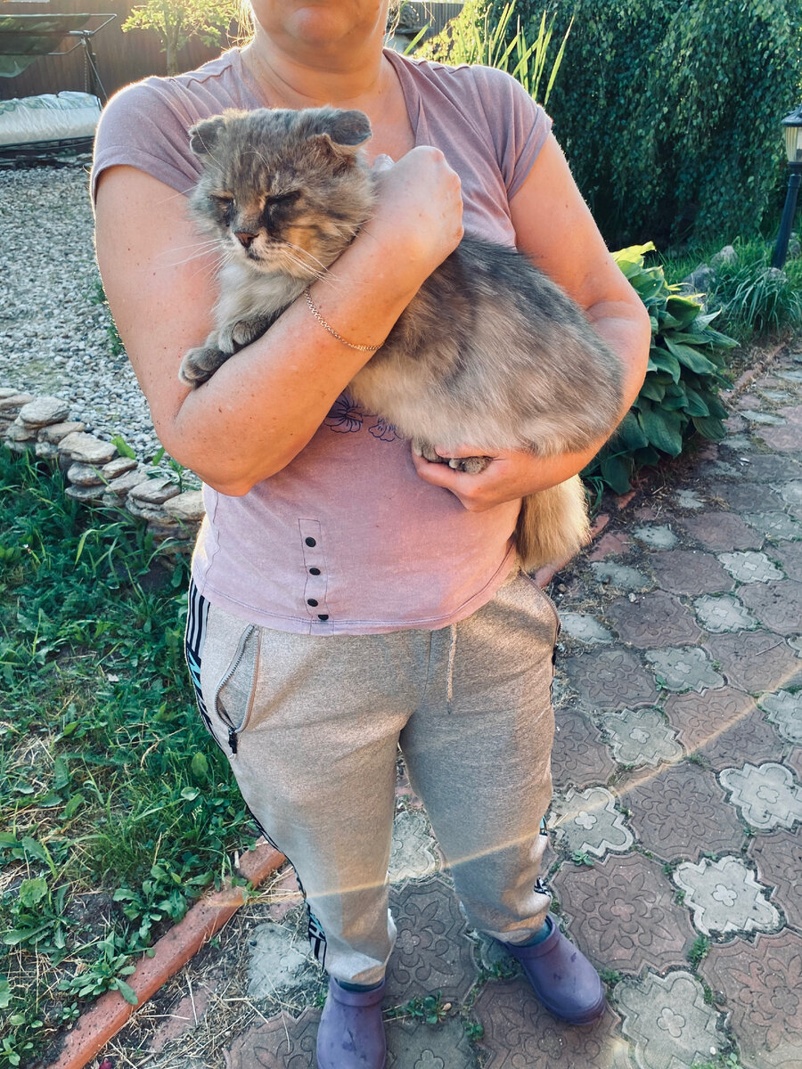 Хозяйка меня постоянно не так на ручках держит. Везде фото автора.