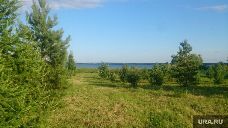    Земельный участок можно будет использовать для индивидуального жилищного строительства