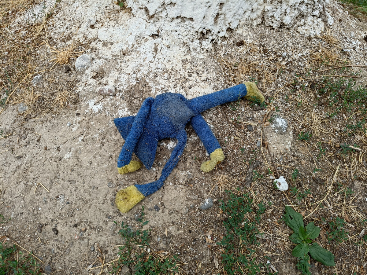 Фотография автора