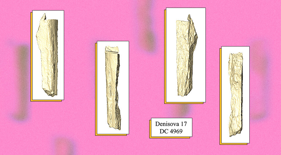   N + 1; Samantha Brown et al. / Nature Ecology & Evolution, 2021