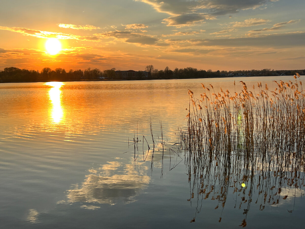 Вот так ещё люди живут. И это не кино, а реальная жизнь. Я бы не смог так, но люди старшего поколения отважные неимоверно, чему остаётся только позавидовать.-9