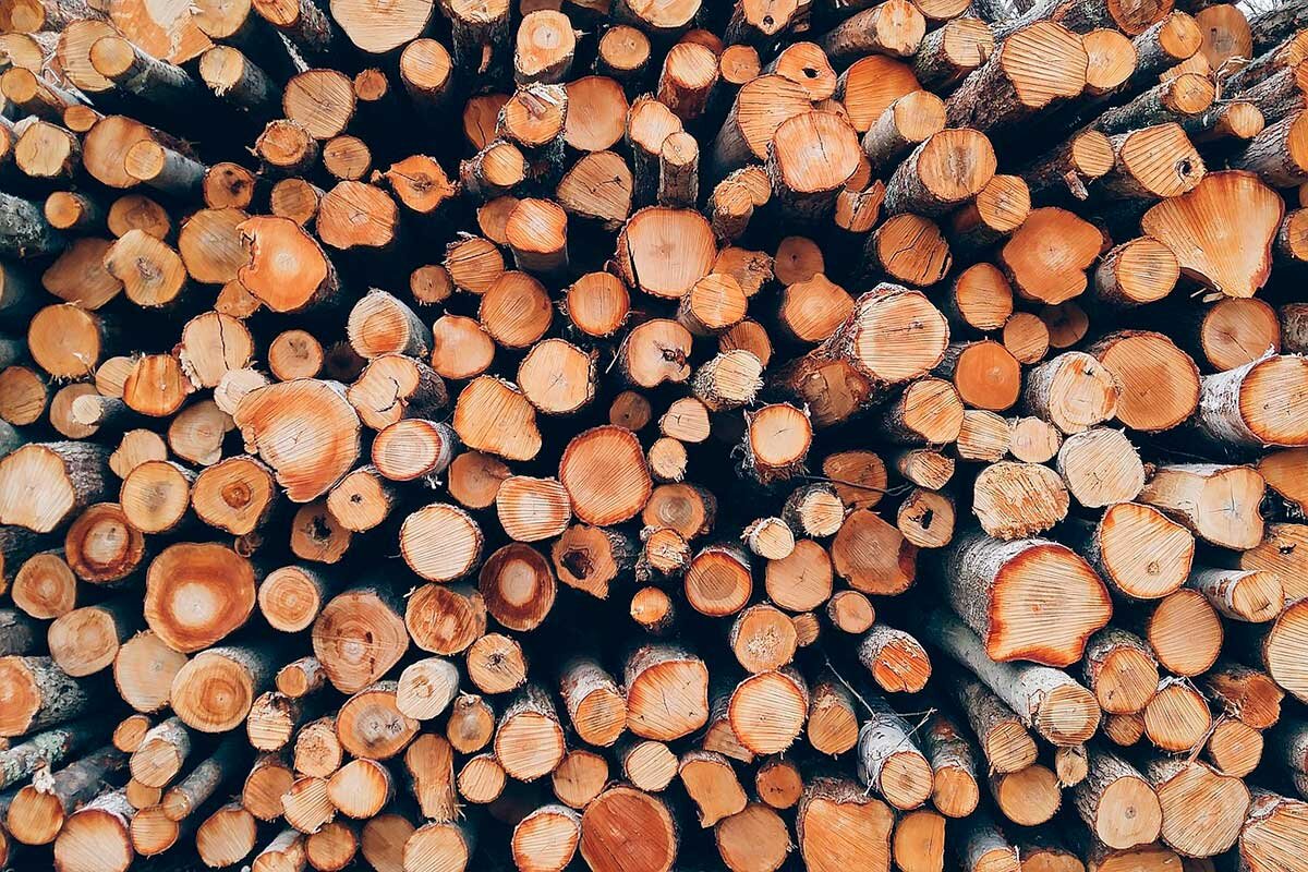    Фото: Pexels / Pixabay.com