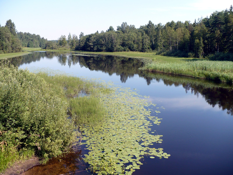 Рукша. Фото из открытых источников