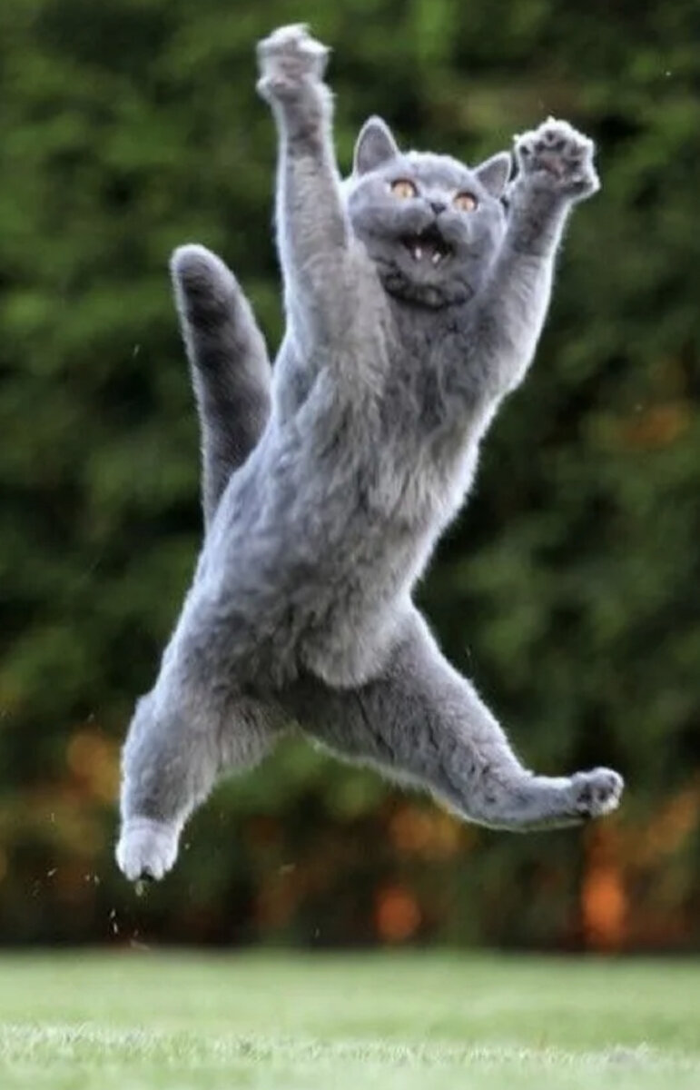 Источник Яндекс картинки