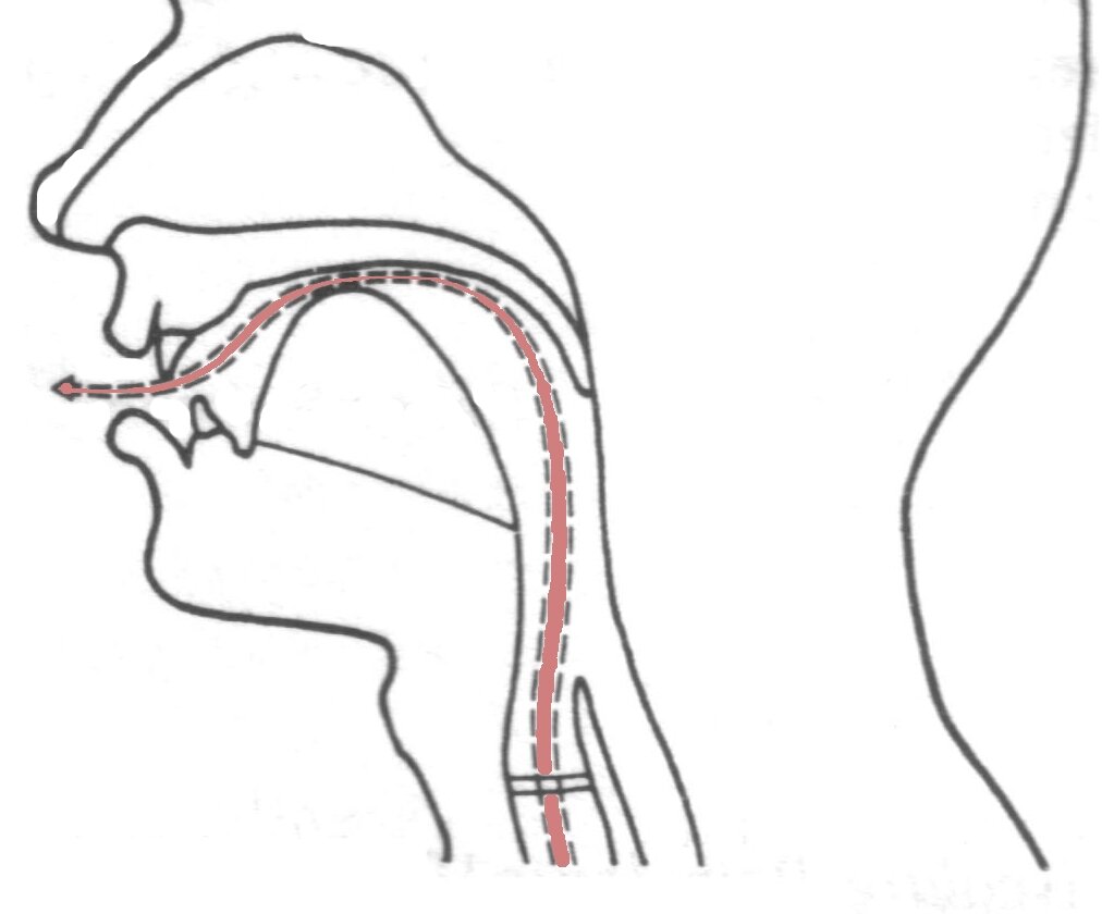 На схеме видно, как проходит поток звука. Дуга, нарисованная во рту - ваш язык. Его средняя часть поднята и находится максимально близко к нёбу. Ещё раз произнесите русский "й" и посмотрите, в каком положении находится язык. 
