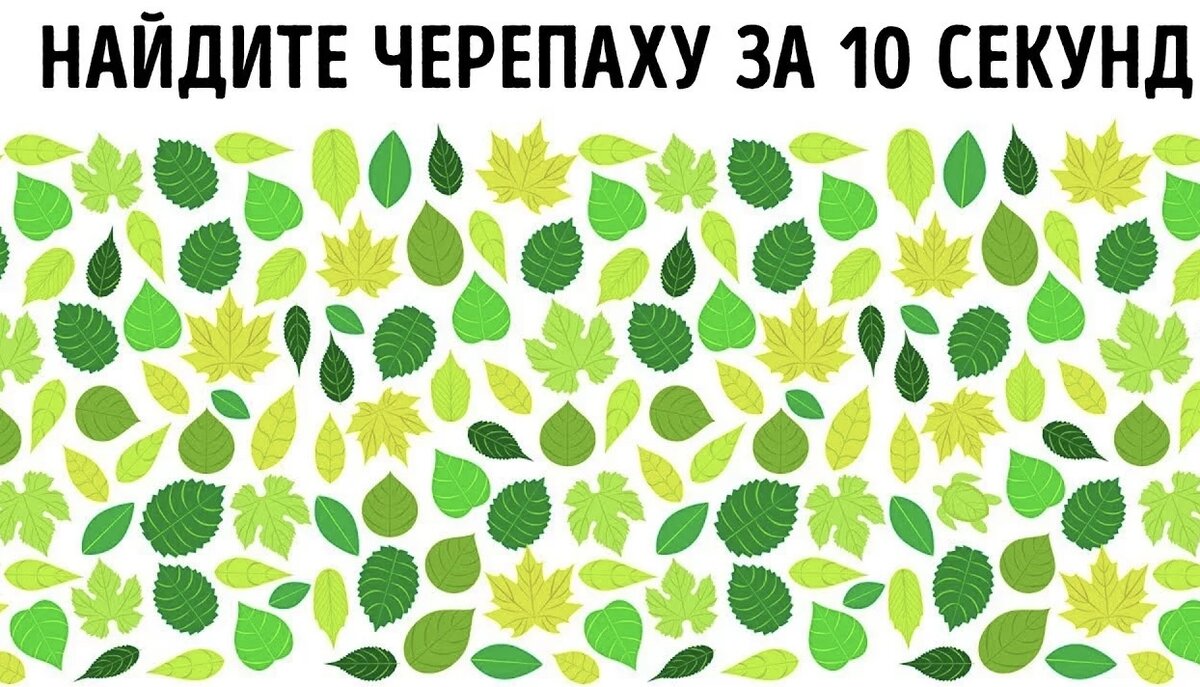 Людям без восьмёрок часто достаточно бросить взгляд, чтобы увидеть недостатки человека или качество, выбивающееся из контекста. От того они могут быть хорошими руководителями и музыкантами | картинка-головоломка из интернета 