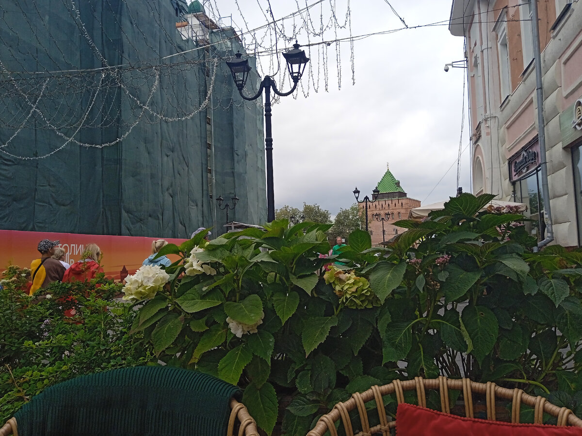 Фотография сделана мной. 