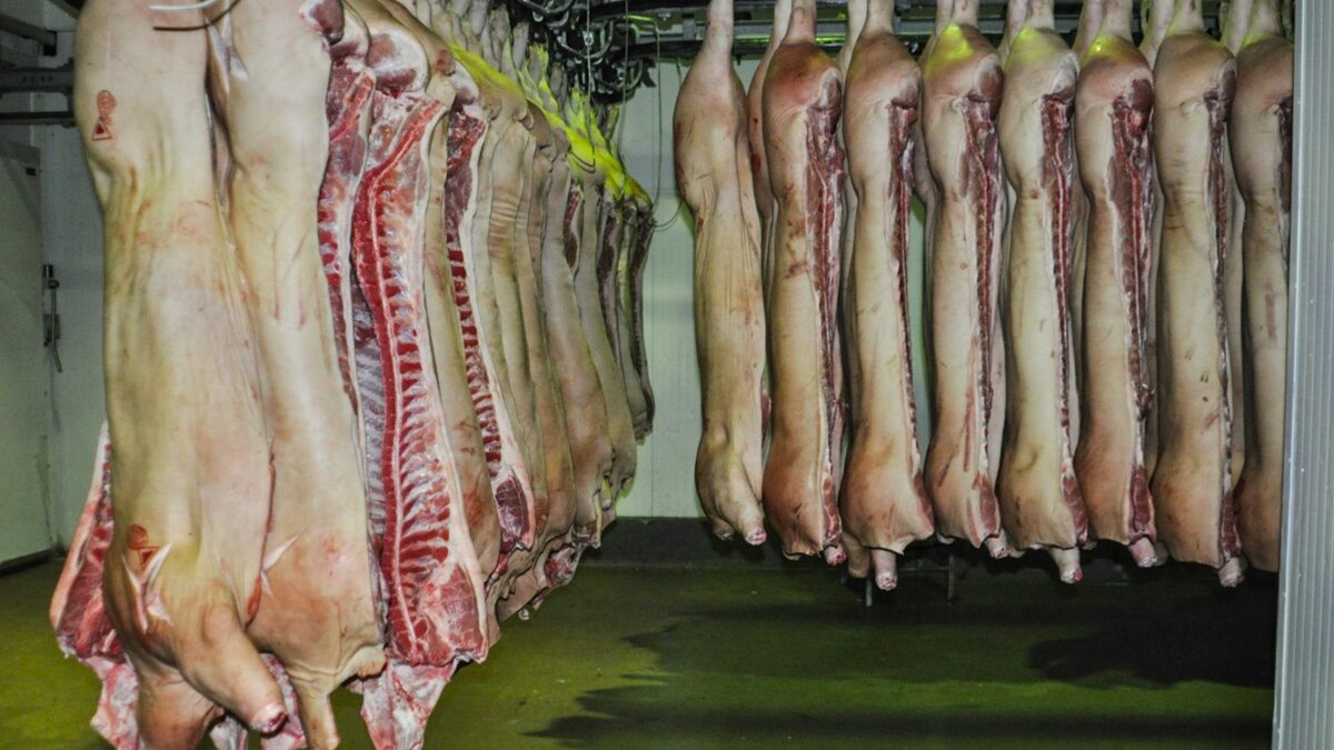     Исправительная колония №11 на Бору планирует закупить три тонны мяса за 846,3 тысячи рублей. Информация об этом размещена на портале госзакупок.