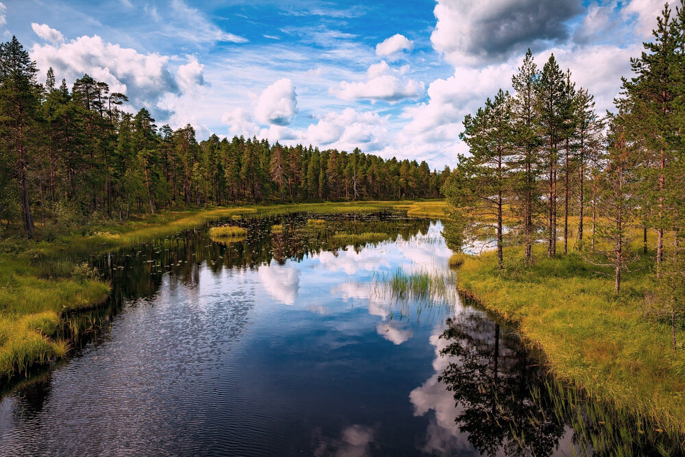     Фото: Shutterstock.com