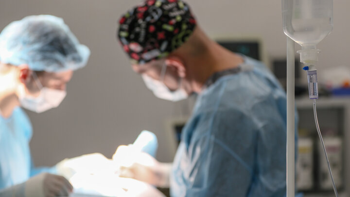 ФОТО: BULKIN SERGEY/GLOBALLOOKPRESS