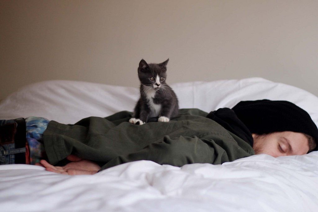 Проявление доверия