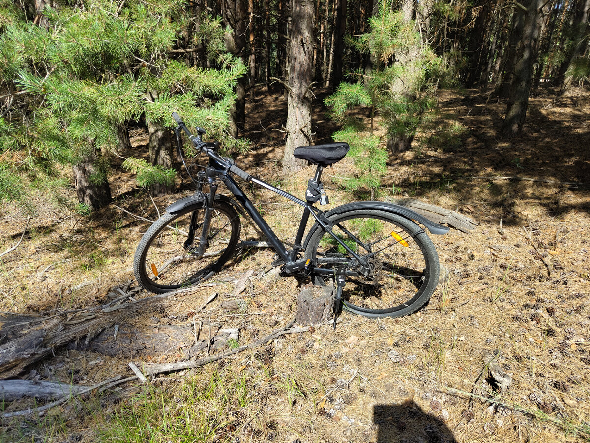 Сегодня по лесам, но не по полям...